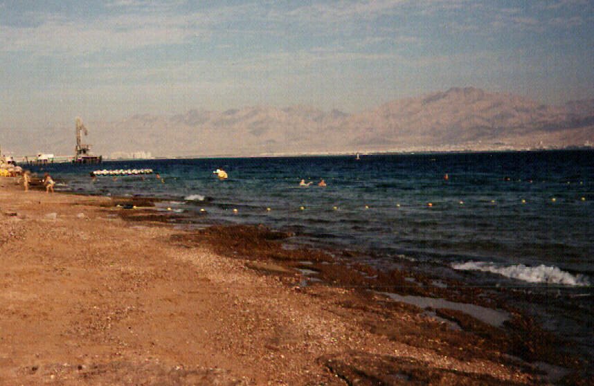 redsea1