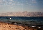 redsea2