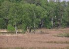 P4300021.JPG