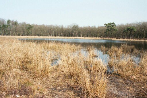 20040317echten0001