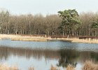 20040317echten0002