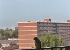 20040724vogel