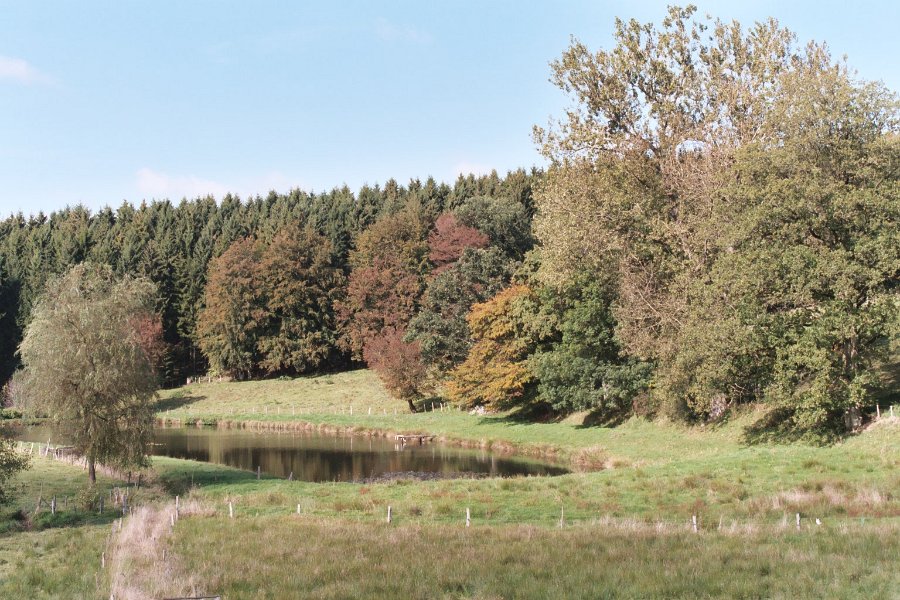 200410090206ardennenroche