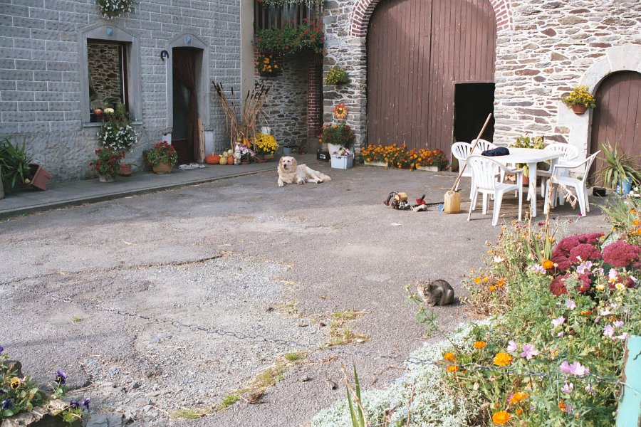 200410090209ardennenrochehondkat
