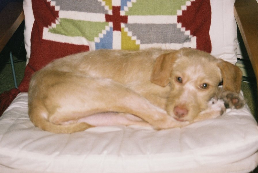 200411maddie01