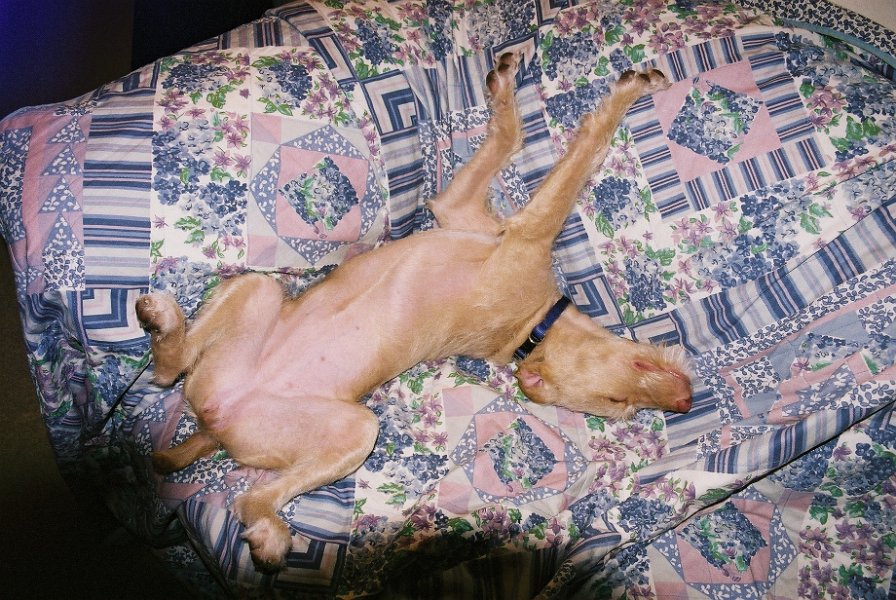 200411maddie03