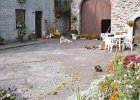 200410090209ardennenrochehondkat