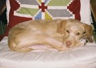 200411maddie01