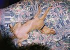 200411maddie03