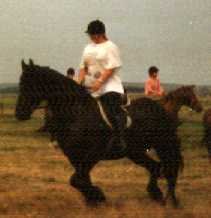 88emyhorse