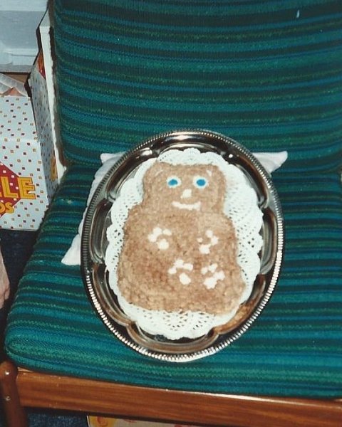 19940325juliabdaycake