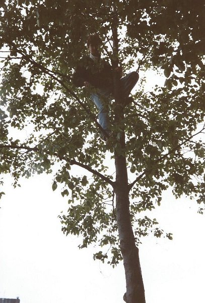 199605londontimtree