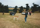 199207knolealastair.jpg
